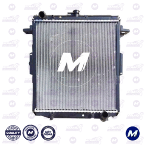 Land Cruiser Machito Boca Recta