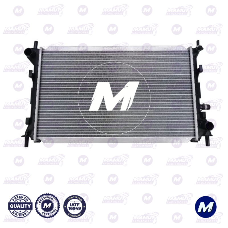 Focus 2006-2010 2.0 lts L4