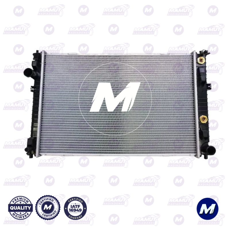 Fusión 3.0 2006-2009