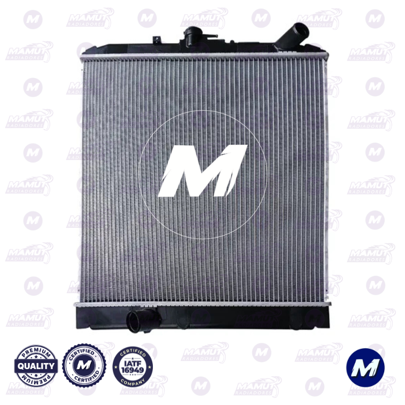 Dyna 2000-2008 con Boca