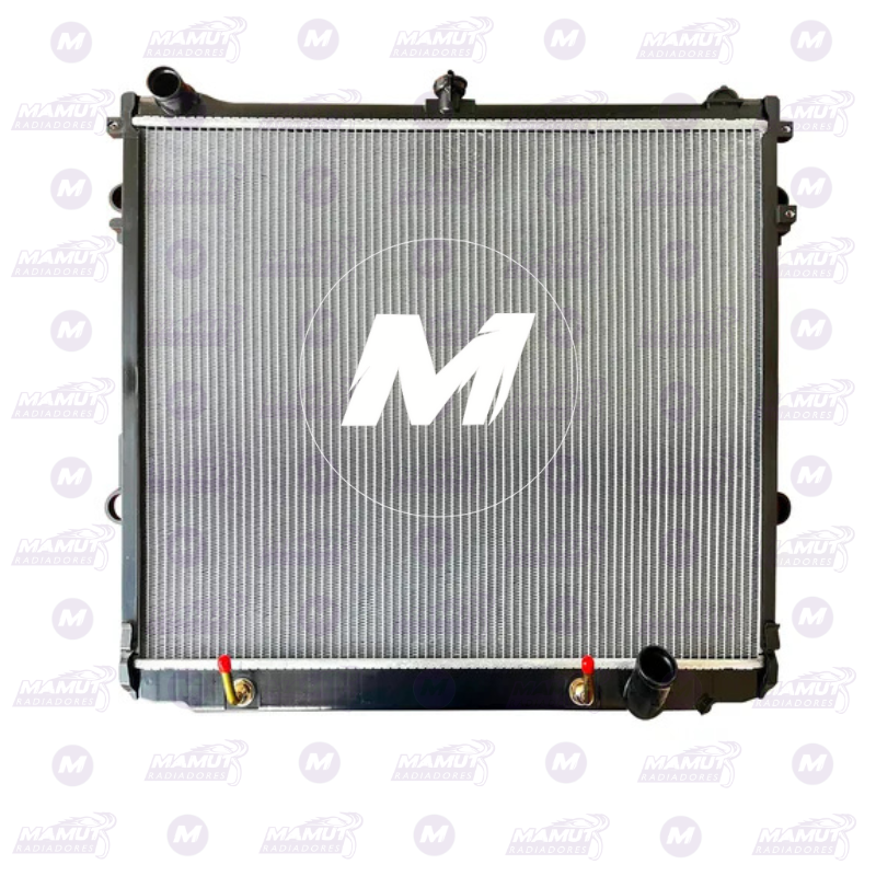 Land Cruiser Roraima 2008 2020 - Imagen 2