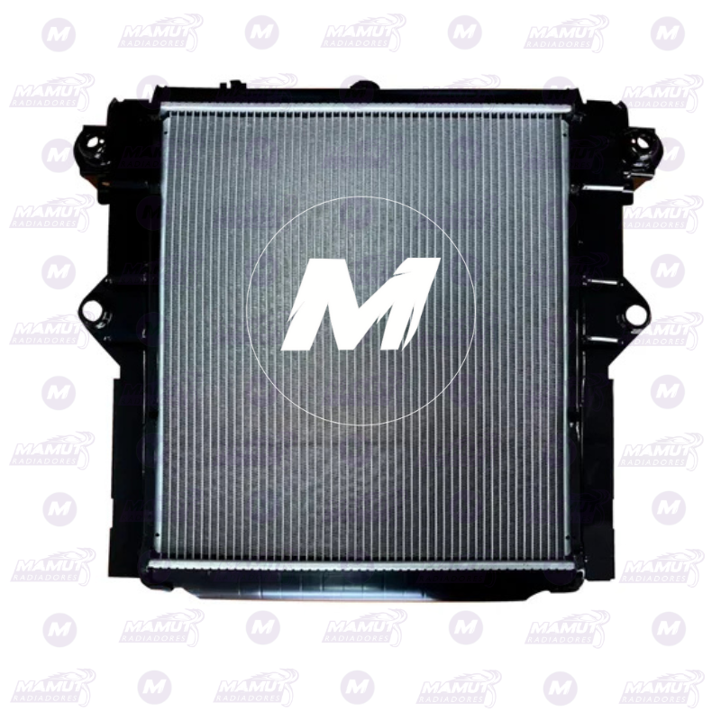 Machito Iraní 2015-2020 - Imagen 2