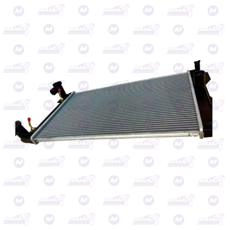 Dyna 2000-2008 con Boca - Imagen 2