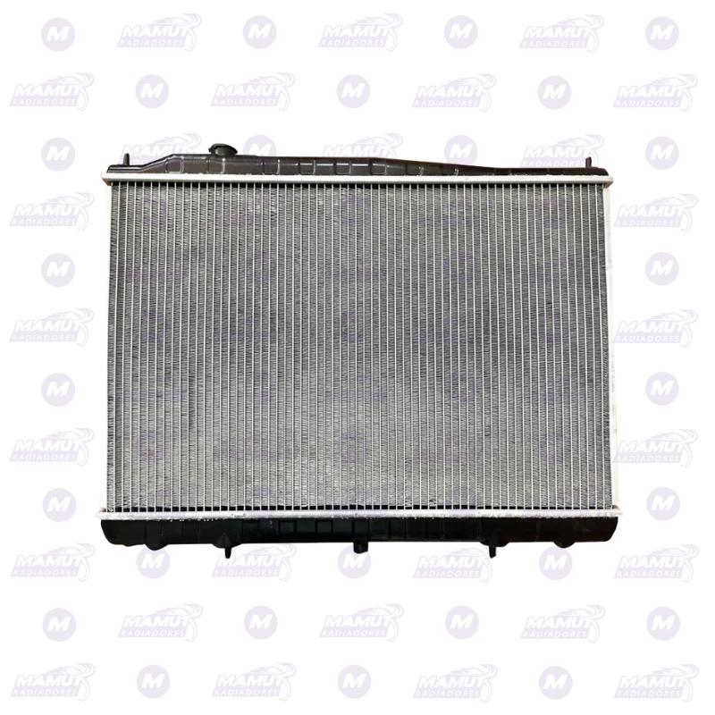 Radiador Frotien Todos Los Años At - Imagen 3