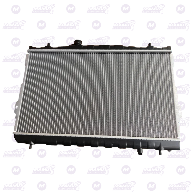 Elantra 2.0 Sincronico - Imagen 2