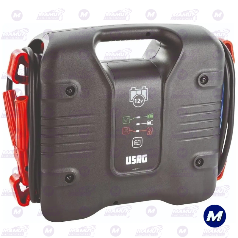 Arrancador Portátil de Baterías 12 V Usag